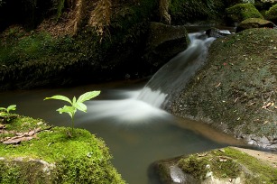 Cachoeira do Engenho. — em Urubici Serra Catarinense